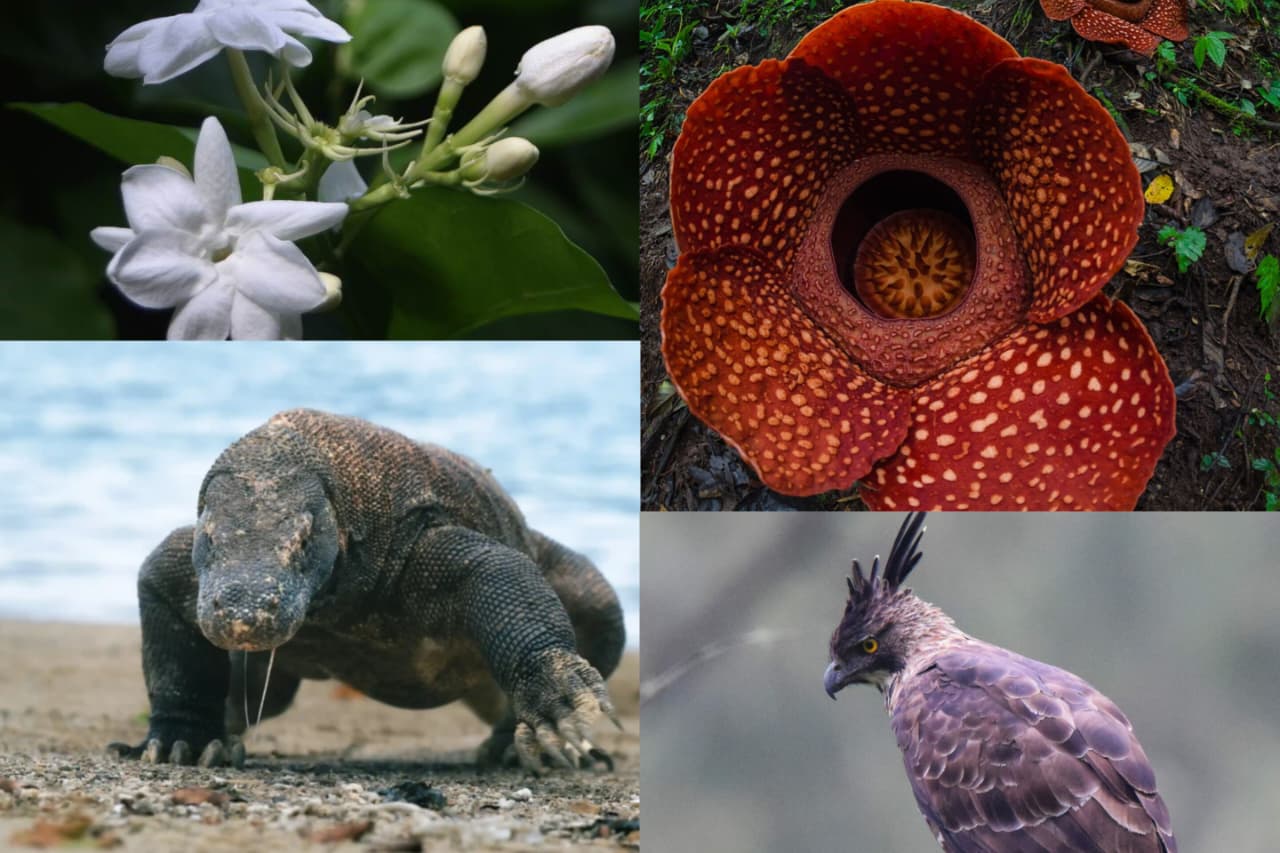 Hari Cinta Puspa dan Satwa Nasional: Momentum Jaga Flora dan Fauna Nusantara dari Kepunahan