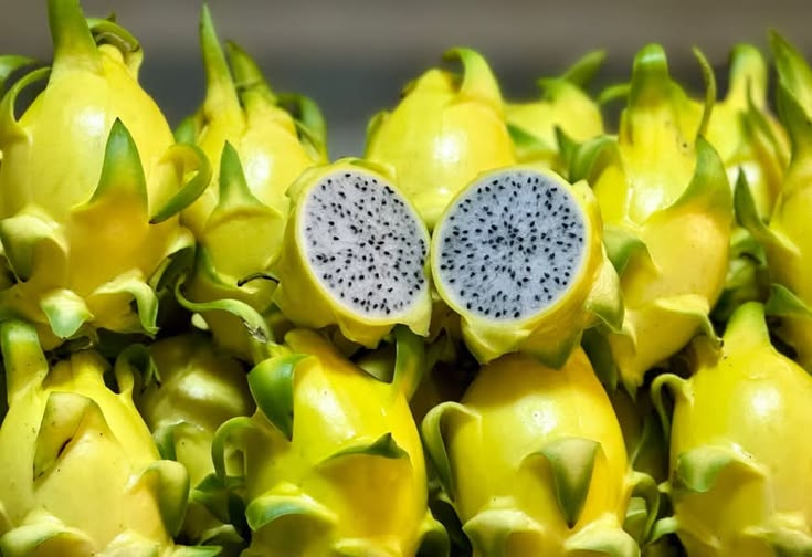 Jarang Diketahui, Ini Alasan Buah Naga Kuning Terasa Lebih Manis