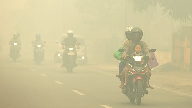 Asap Karhutla Masuk Rumah, Ini Cara Menjaga Kesehatan Keluarga
