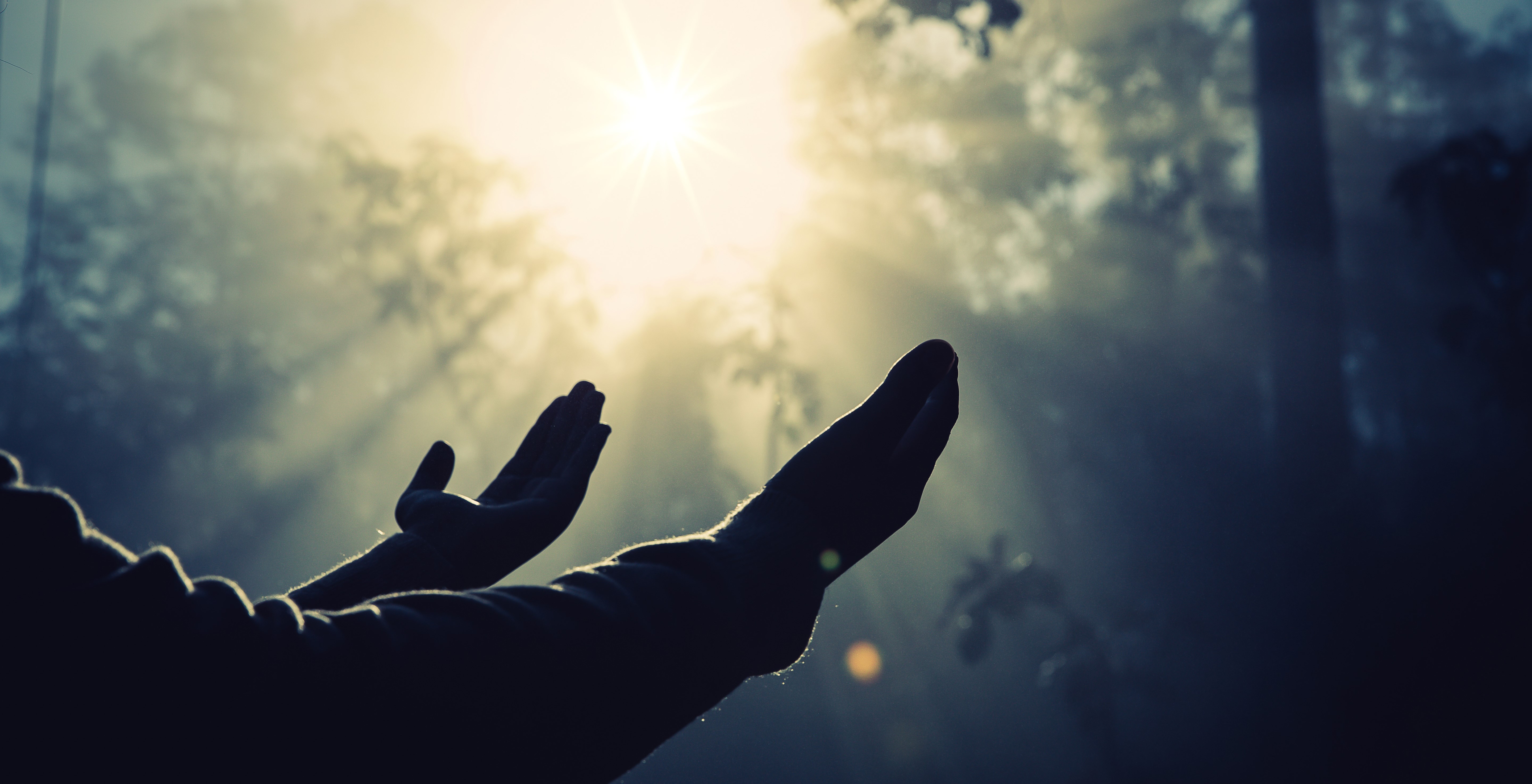 Jangan Ikut-ikutan, Pesan Imam Ghazali dalam Buku Bersahabat dengan Malaikat Rahmat