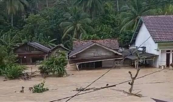 Banjir Bandang Rendam Suoh, Lampung Barat: Lima Rumah Hanyut dan Puluhan Warga Mengungsi