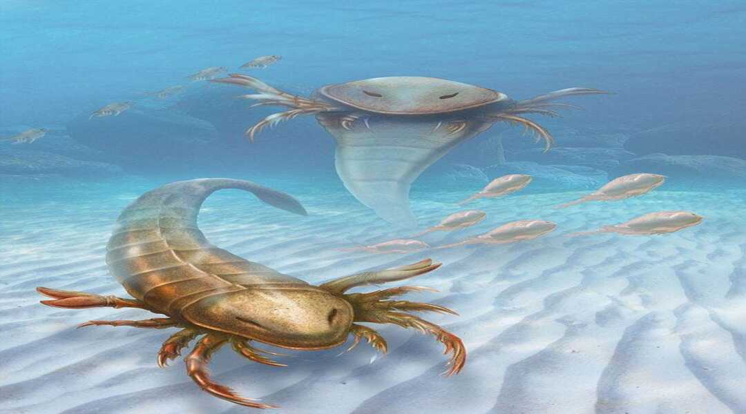 Mengenal Eurypterid: Kalajengking Laut Raksasa Penguasa Samudra