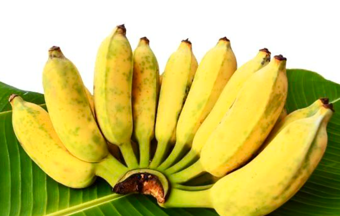 Pisang Jadi Buah Terbanyak di Pesawaran, Ternyata Bisa Diolah Jadi Camilan hingga Menu Sehat