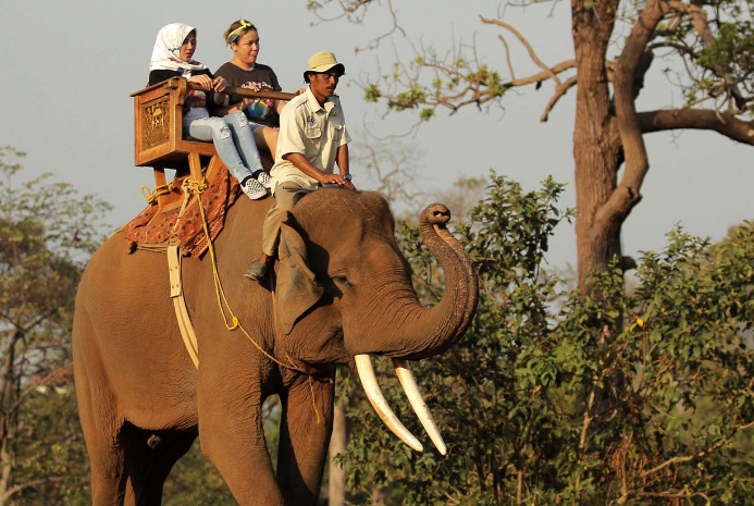 Libur Lebaran 2024 : Sensasi Naik Gajah Tunggang Jadi Favorit Pengunjung Lembah Hijau