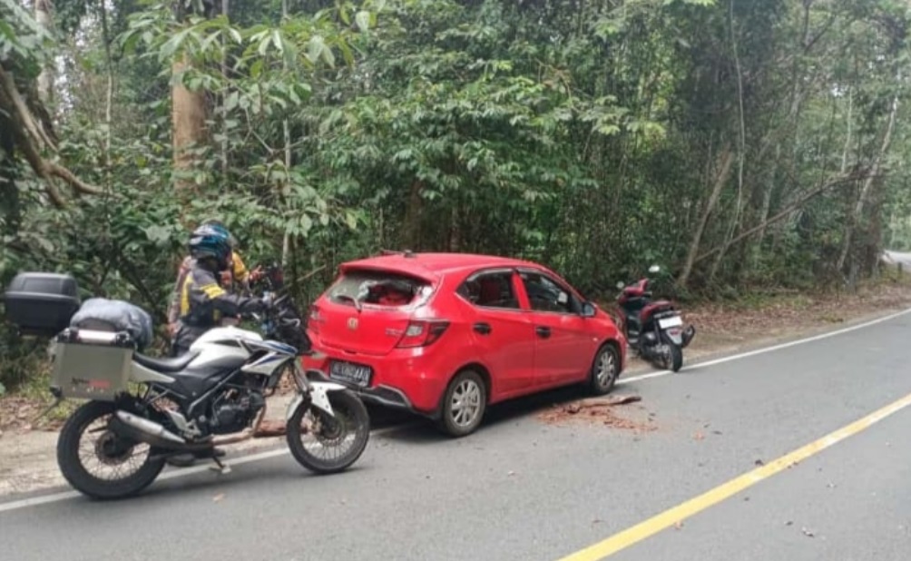 Dikejar Polisi, Perampok BRILink Tinggalkan Mobil di Tepi Jalan, Kabur Masuk Hutan TNBBS