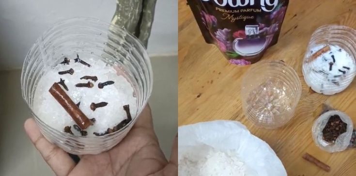 Rumah Auto Wangi Mewah! Ini Trik Pengharum Ruangan Alami Pakai Bahan Dapur