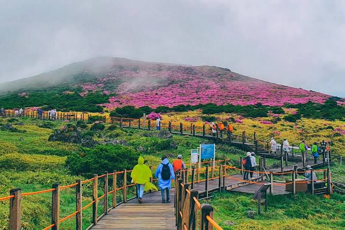 Menikmati Keindahan Pulau Jeju, Destinasi Wisata Populer di Korea Selatan