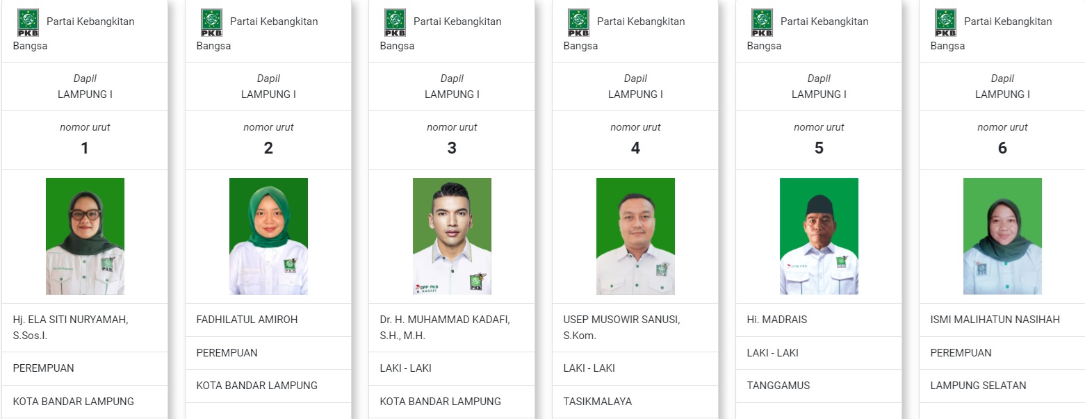 Ini Dia Caleg DPR RI PKB Lampung Pemilu 2024 : Bidik 3 Kursi, Adu Kuat Ela dan Kadafi Dapil Lampung 1 