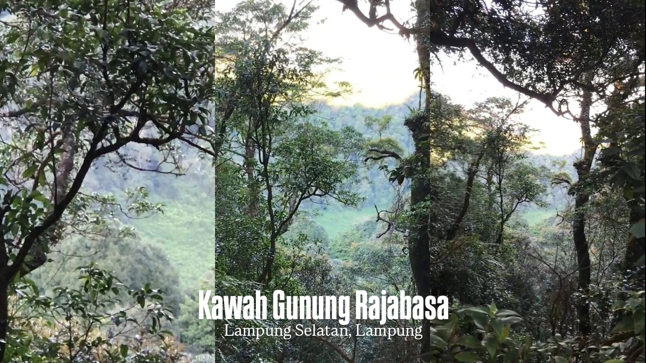 Kawah Gunung Rajabasa: Petualangan Seru ke Puncak Misteri Lampung Selatan