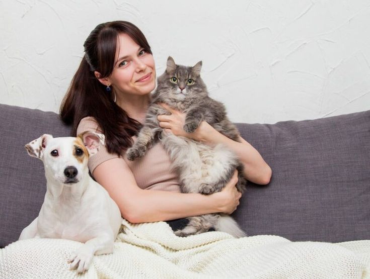 5 Hewan yang Bisa Dipelihara di Rumah, Cocok Untuk Teman Sehari - Hari dan Penambah Suasana Positif