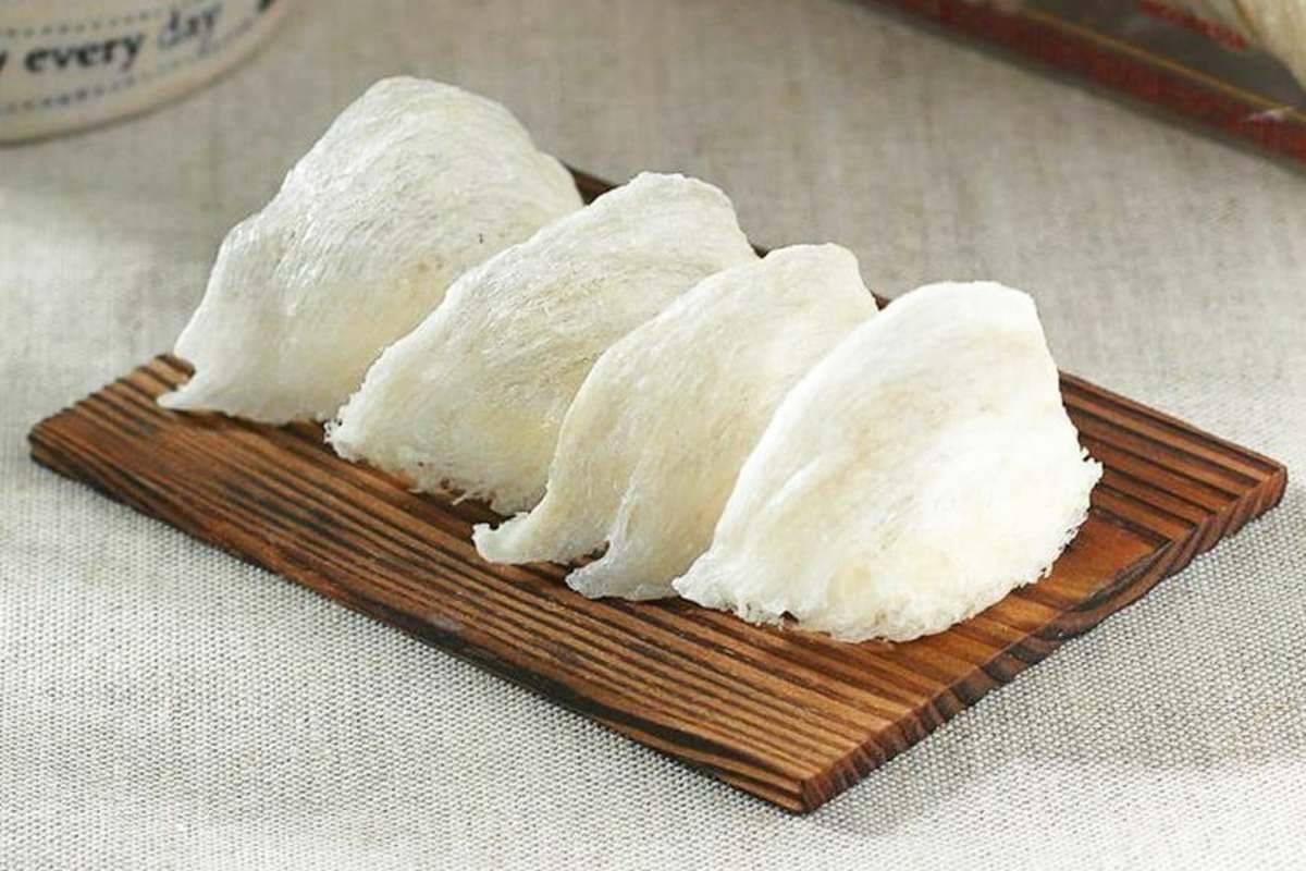 Sarang Burung Walet: Fakta Unik dan Manfaatnya bagi Kesehatan