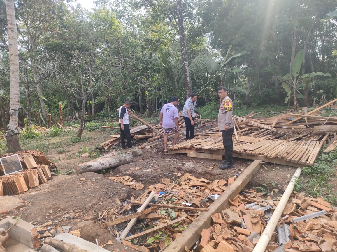 Puting Beliung Ngamuk di Way Kanan, Seratusan Rumah Rusak dan Pohon Besar Bertumbangan