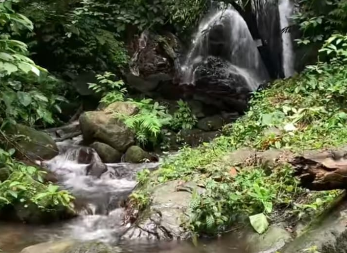 Curug Tujuh Margajaya: Surga Tersembunyi di Tengah Hutan Lampung Tengah