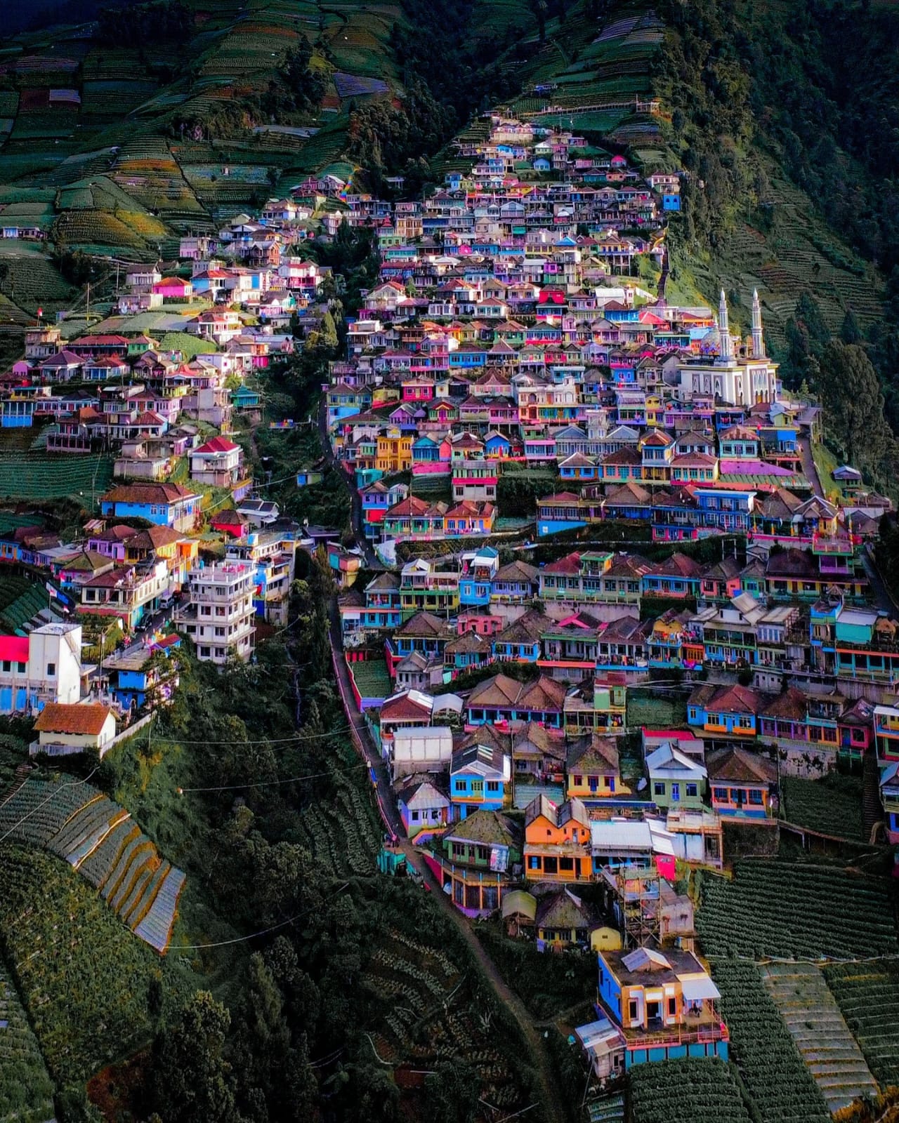 Pesona Nepal Van Java, Desa di Lereng Gunung Sumbing yang Memikat Wisatawan