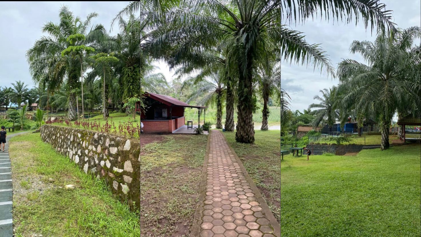 Wisata Ndoro Putri: Keindahan Tersembunyi Pringsewu dengan Pesona Jembatan Way Sekampung