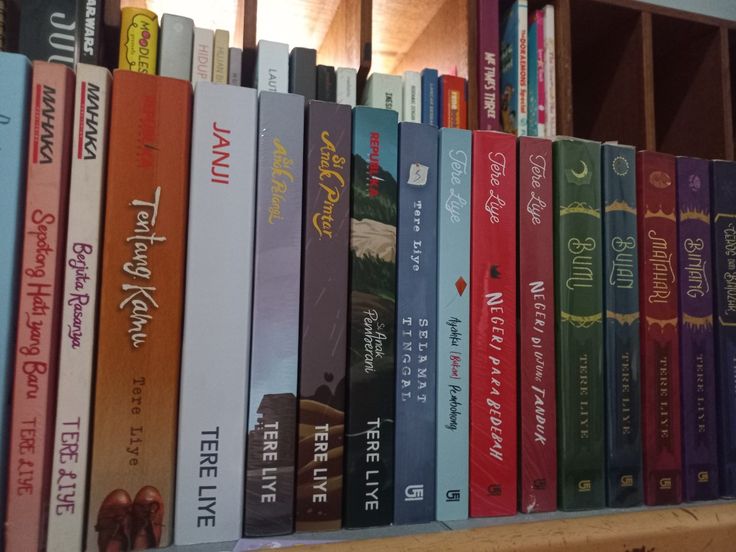 Rekomendasi Novel Tere Liye: Dari Romantis hingga Filosofis