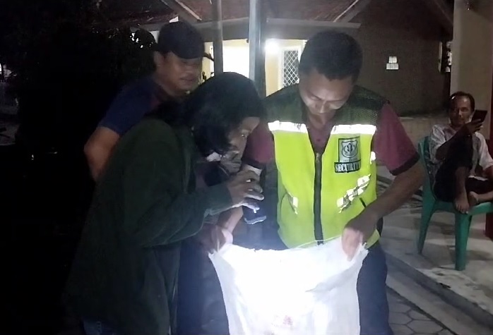 Kerap Mangsa Hewan Peliharaan, Ular Sanca Ditangkap Warga Tanjung Senang Saat Ronda Malam