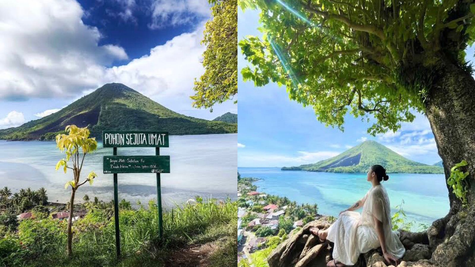 Spot Viral ‘Pohon Sejuta Umat’ di Banda Neira, Panorama Gunung Api dan Laut  Biru Bikin Netizen Heboh!