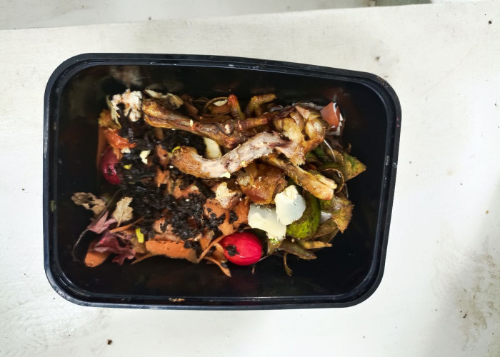 Langkah Mudah Mengolah Sisa Dapur Jadi Pupuk Kompos yang Bikin Tanaman Subur