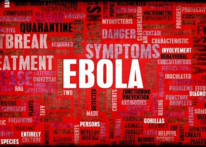 WHO Soroti Wabah Ebola di Kongo yang Terus Meluas, Fasilitas Kesehatan Mulai Kewalahan
