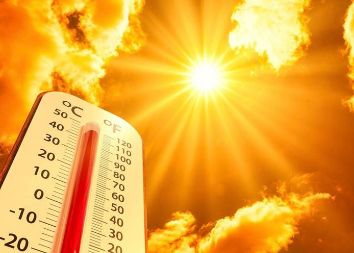Prancis Terbakar: Gelombang Panas Luar Biasa Lumpuhkan Aktivitas Kota