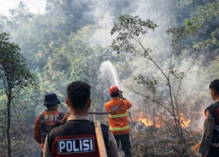 Karhutla Kepung Penajam Paser Utara, BPBD Catat 17 Kejadian Selama Musim Kemarau
