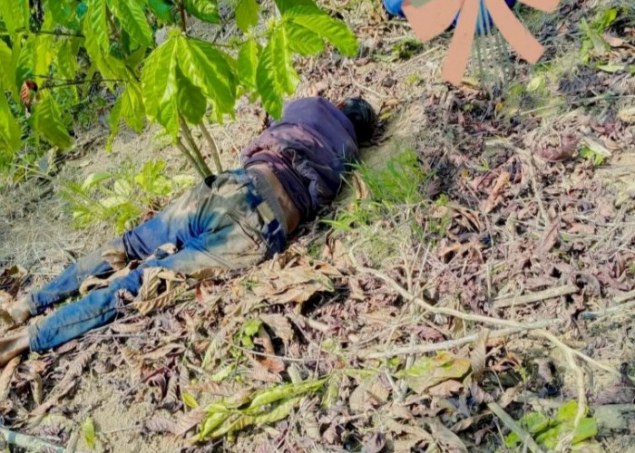 Buruh Tani Tewas Diduga Diserang Gajah Liar di Suoh Lampung Barat, Konflik Satwa Kembali Telan Korban Jiwa