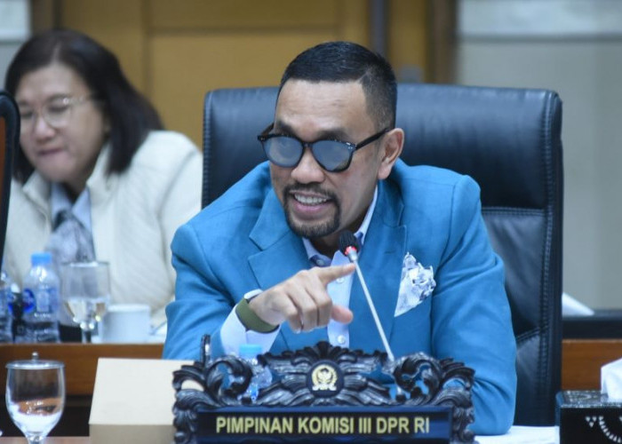 Harta Fantastis Ahmad Sahroni Tembus Rp 328,9 Miliar, Koleksi Mobil Mewah Jadi Sorotan