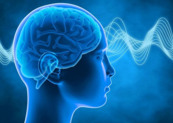 Benarkah Orang Ber-IQ Tinggi Lebih Nyaman Menghabiskan Waktu Sendiri? Simak Fakta Penelitiannya