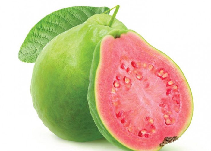 Bukan Sekadar Penambah Trombosit! Ini 5 Manfaat Ajaib Jambu Biji bagi Kesehatan 