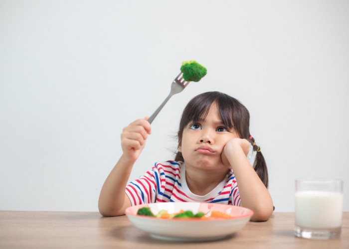 Anak Susah Makan? Kenali Cara Mengatasi Picky Eater Tanpa Drama di Rumah