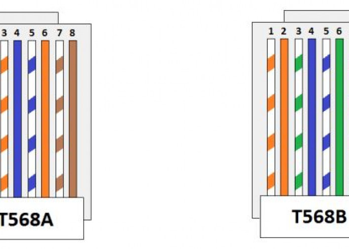 Memahami Kabel LAN, RJ45, serta T568A dan T568B: Dasar Jaringan yang Perlu Diketahui Secara Sederhana
