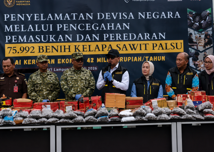 Skema Bibit Sawit Palsu Terbongkar, Modus Murah di Marketplace Rugikan Petani