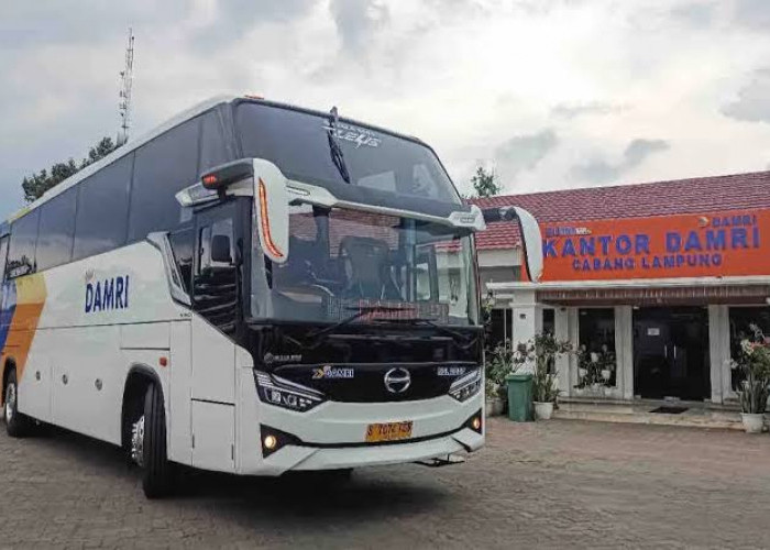 Mulai Hari Ini! DAMRI Kalianda-Jakarta Kembali Beroperasi, Segini Tarif dan Jadwalnya
