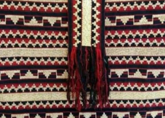 Kekayaan Budaya Lampung dalam Setiap Helai Benang: Mengenal Kain Tapis, Sulam Usus, dan Celugam