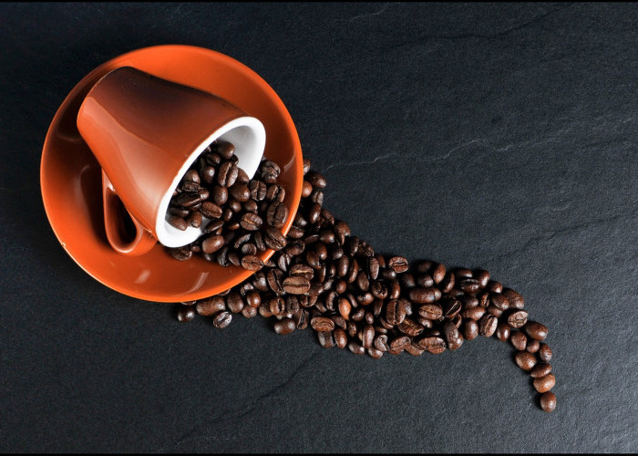 Bukan Cuma di Pagi Hari, Ini Waktu Terbaik Minum Kopi untuk Hasil Maksimal!