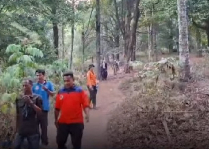 Dua Pendaki Dievakuasi dari Gunung Gamalama Usai Kebakaran