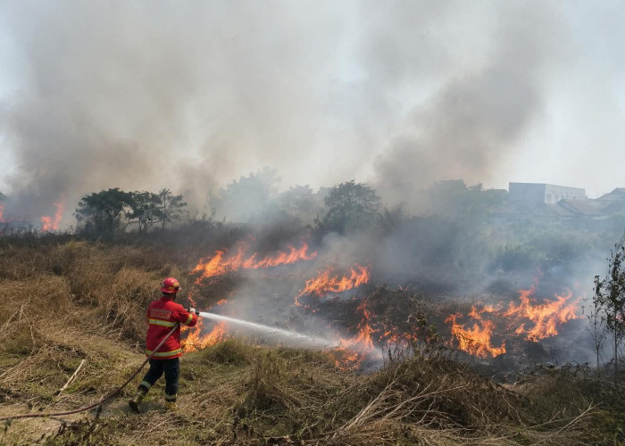 Dua Lahan Terbakar di Telukbetung Timur, Api Sempat Mendekati Kampung Selirit