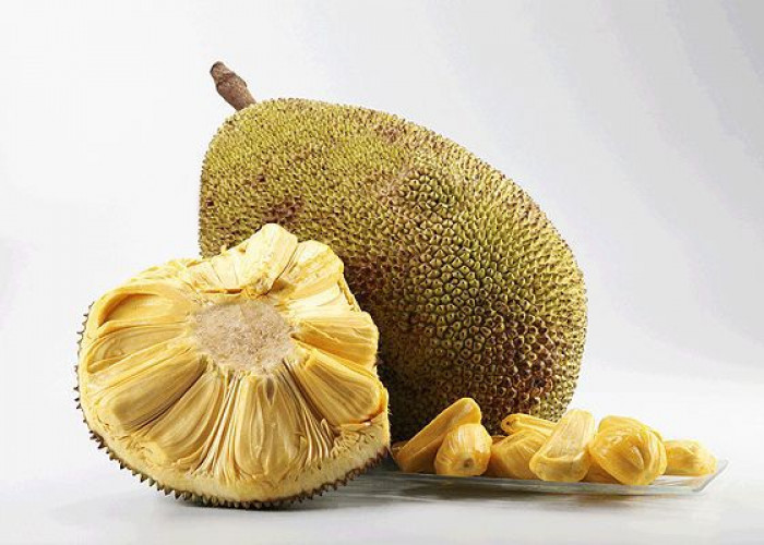 Tak Hanya Manis, Ini Manfaat Nangka yang Bikin Tubuh Sehat dan Kulit Cerah