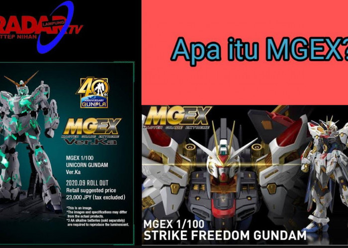 Apa Itu MGEX (Master Grade EXtreme) ?