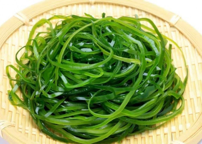 Tidak Hanya untuk Sushi, Rumput Laut Punya Banyak Manfaat