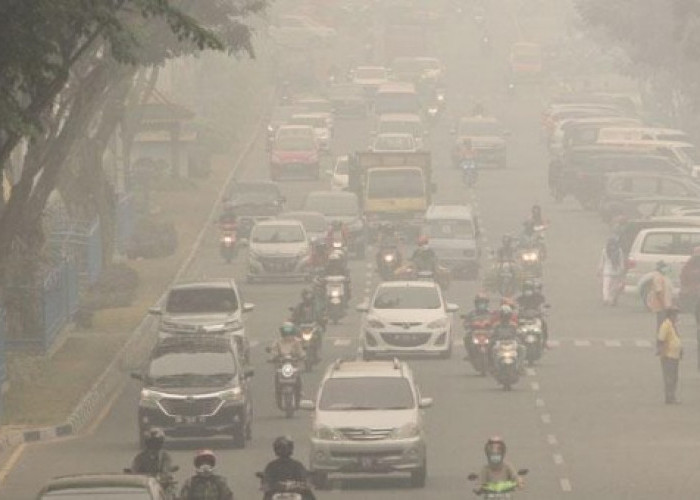 Polusi Kendaraan: Ancaman Serius bagi Kesehatan dan Lingkungan