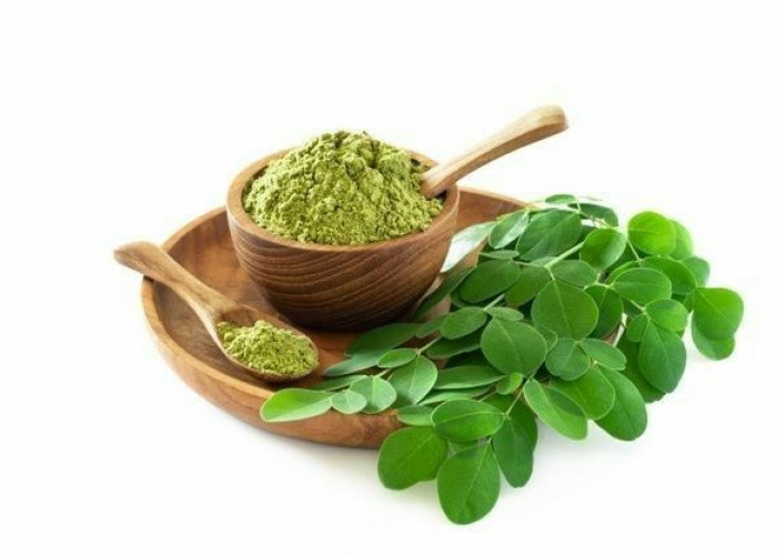 Sering Dianggap Sayuran Biasa, Daun Kelor Ternyata Punya Kandungan Nutrisi Ini