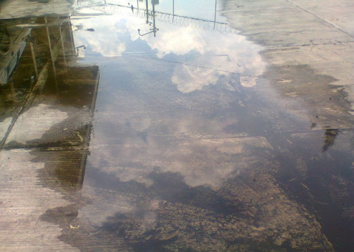 Ancaman di Balik Tenangnya Genangan: Mengapa Still Water Begitu Berbahaya?