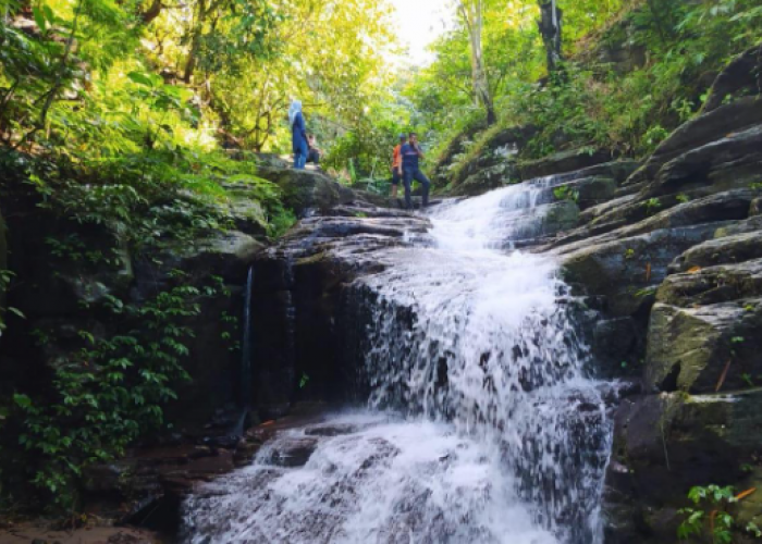 Desa Wisata Sumber Agung: Trip Lengkap Rasa Alam di Kaki Gunung Betung