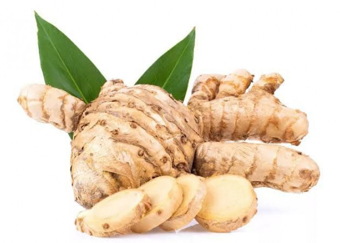 Tak Perlu Biaya Mahal, Ini Rahasia Sehat Warga Lampung 2026