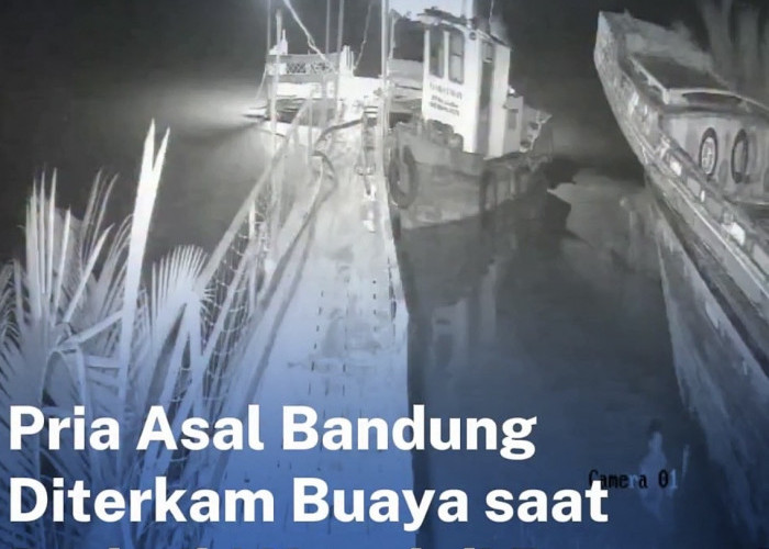 Pria Diduga Diserang Buaya Saat Perbaiki Jukung di Banyuasin, Pencarian Masih Berlangsung