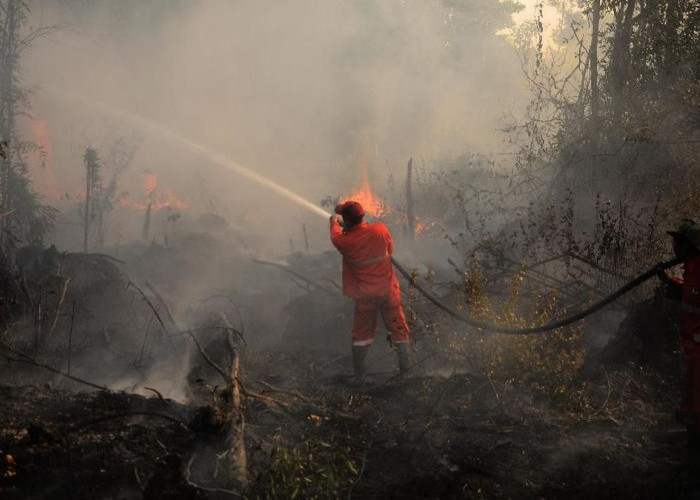 Bantu Padamkan Karhutla Kalimantan, Jepang Kerahkan Kapal Amfibi dan Helikopter CH-47