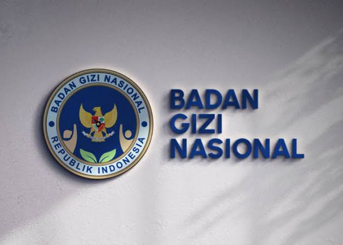 Rekrutmen Besar-Besaran: Badan Gizi Nasional Buka 32.000 Formasi PPPK 2025, Cek Jadwal & Syaratnya!