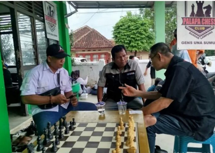 Turnamen Catur Palapa Chess Club Makin Diminati, Ada Apa?